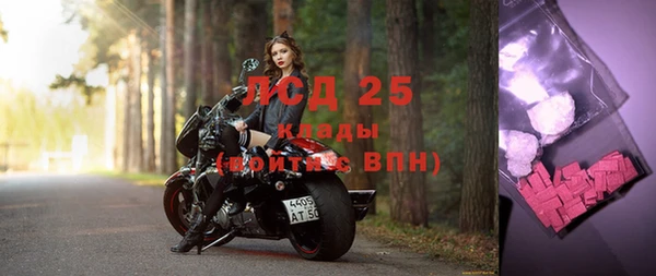 гидра Алексеевка