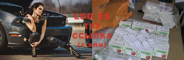 дмт Алзамай