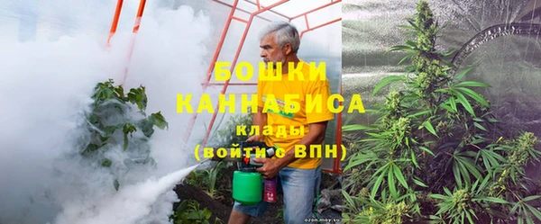 гидра Алексеевка
