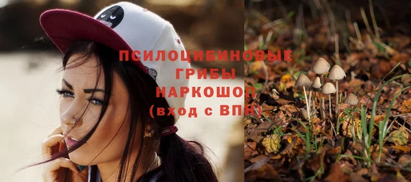 а пвп мука Аркадак