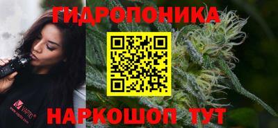 метадон Гусь-Хрустальный