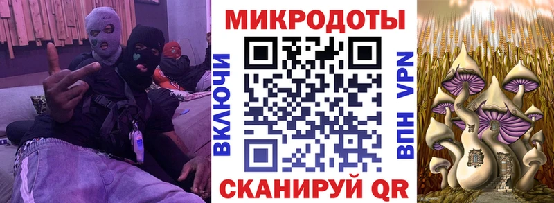 Галлюциногенные грибы Cubensis  Калининград 